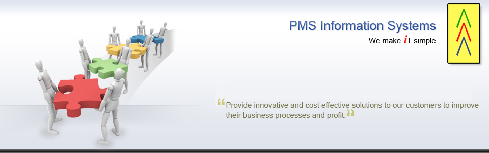 PMS Information Systems | Services
